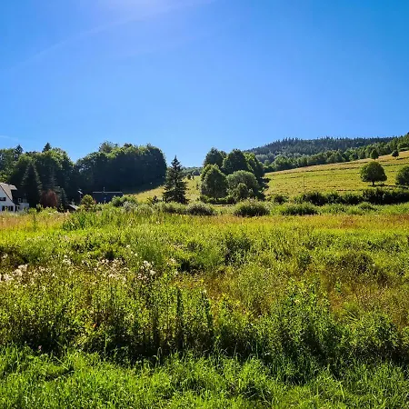 Anielski E.d. Angelo *