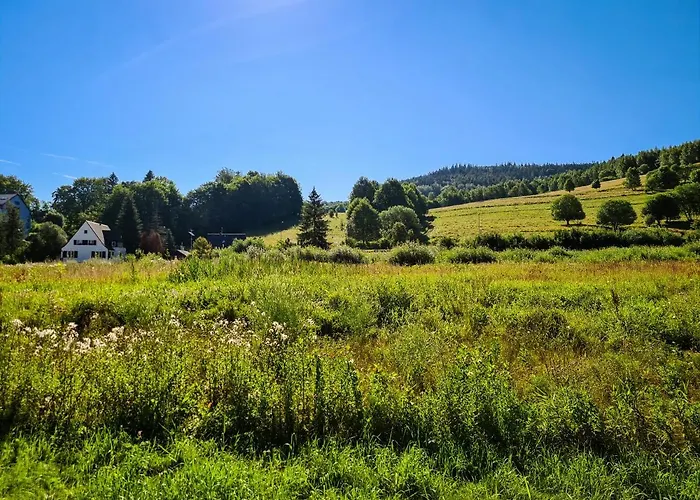 Anielski E.d. Angelo *