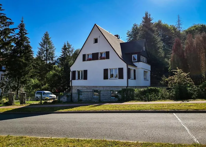 Anielski E.d. Angelo ドゥシュニキ・ズドルイ